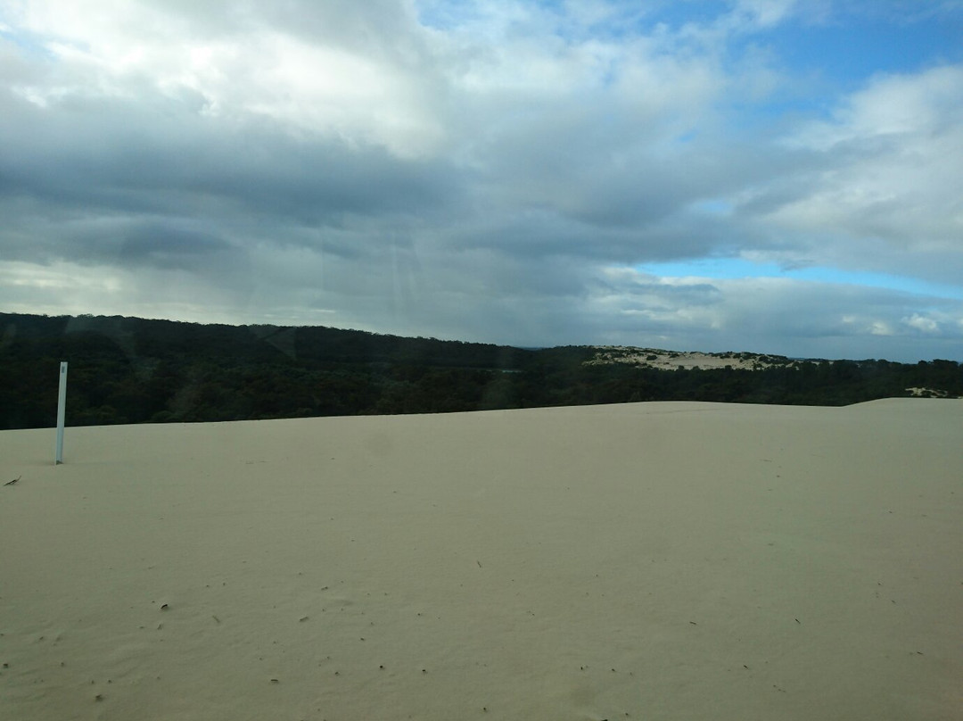 Yeagarup Dunes景点图片