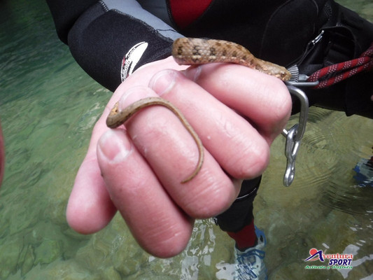 Aventura Sport-Quesada必去景点