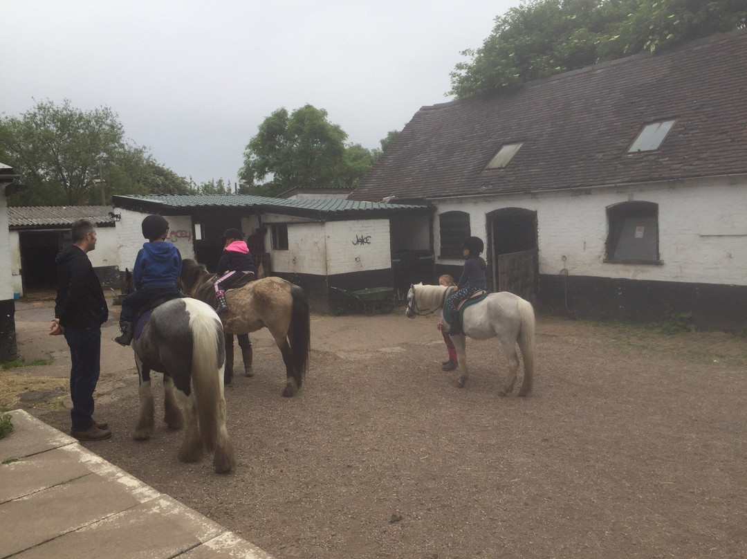 Sandwell Valley Riding Centre景点图片