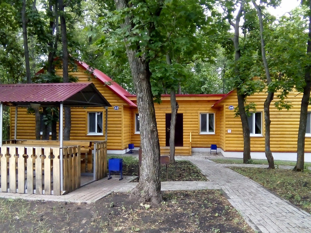 Zvezdny
