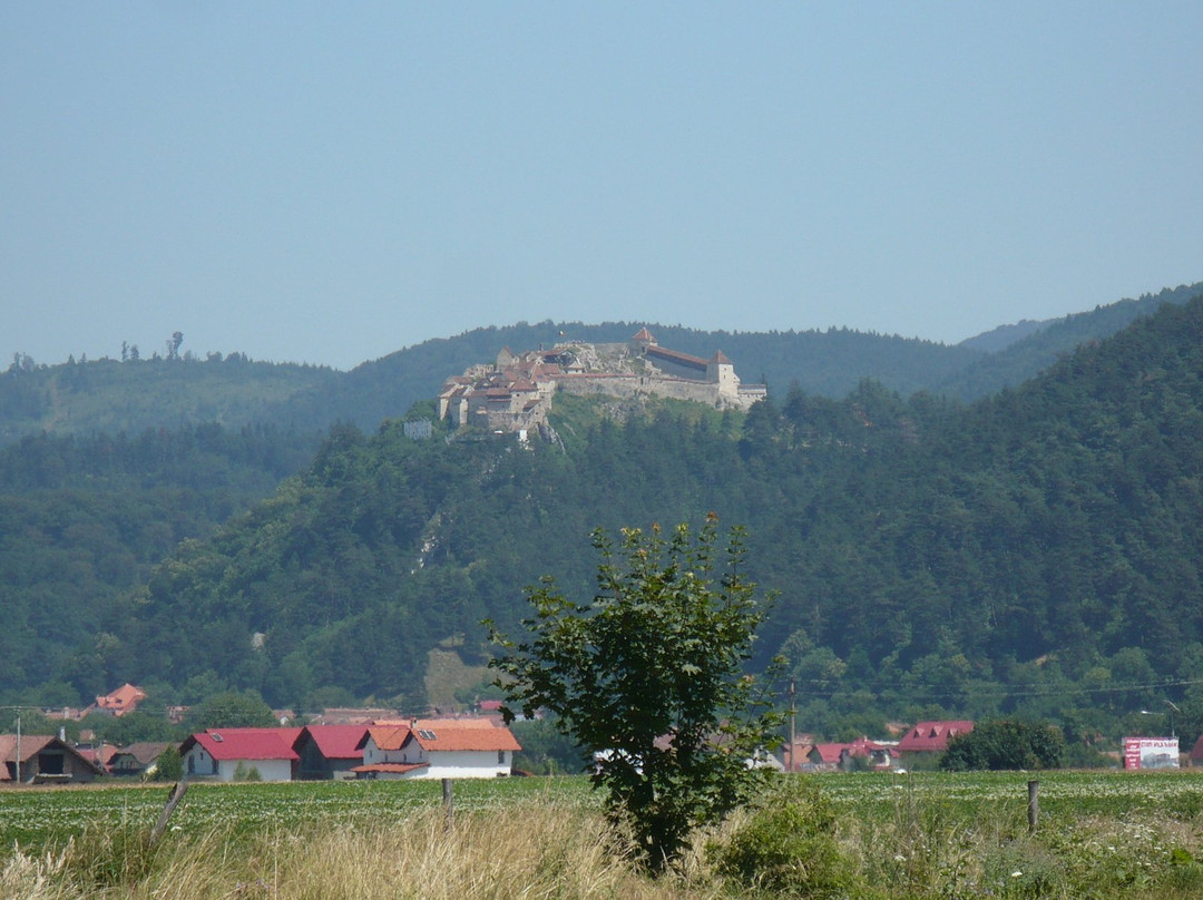 Tour Guide Braşov景点图片