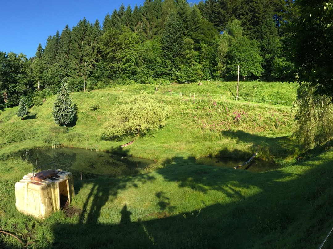 La Belle Charbonnière主图