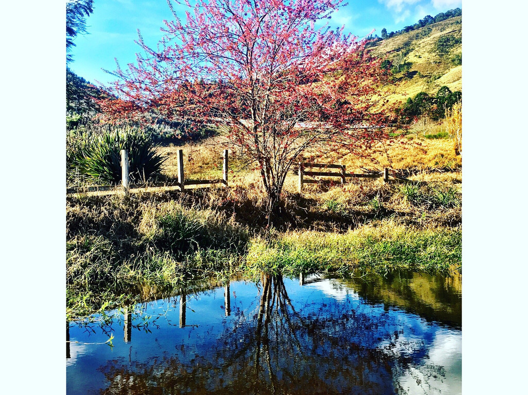 Fazenda Maria da Fé