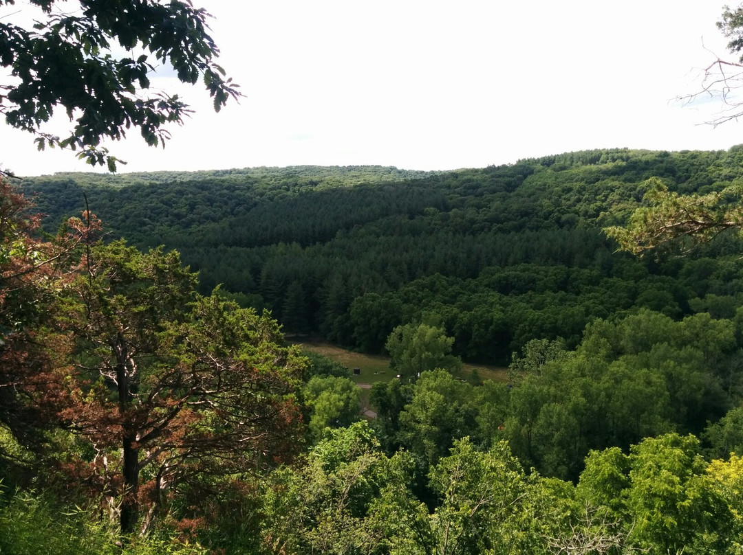 Yellow River State Forest景点图片