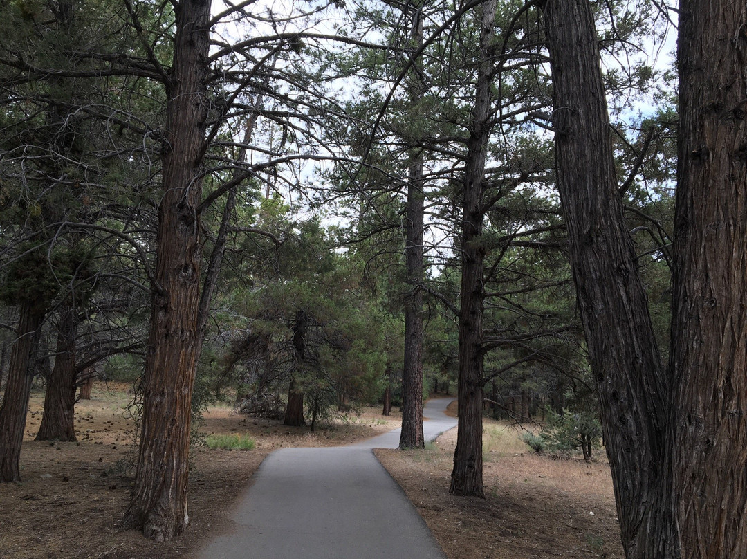 Alpine Pedal Path-大熊湖必去景点