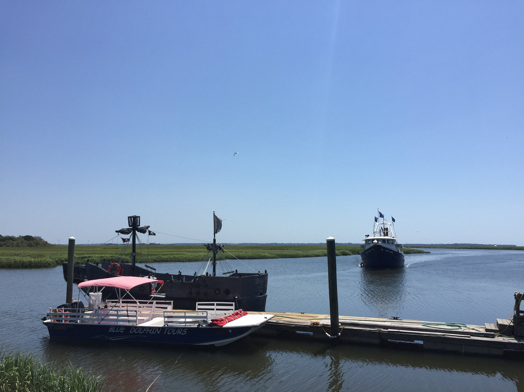 Marshes of Glynn-不伦瑞克必去景点