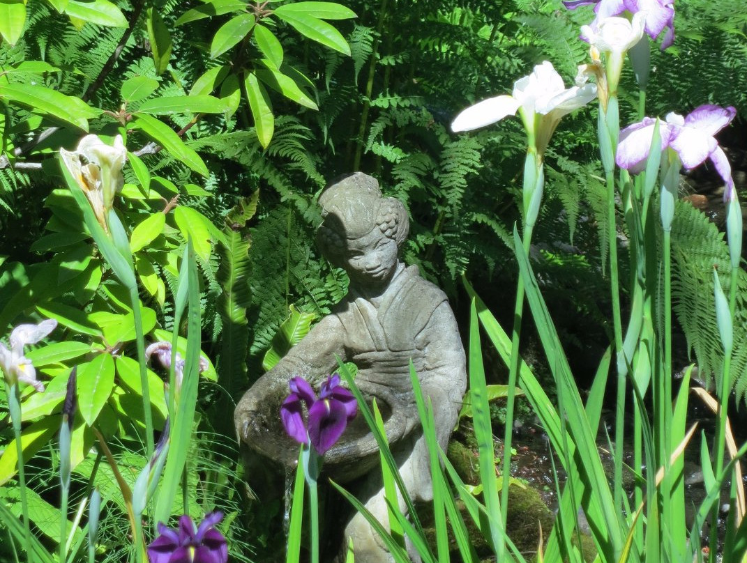 Dinner Bay Park-Mayne Island必去景点