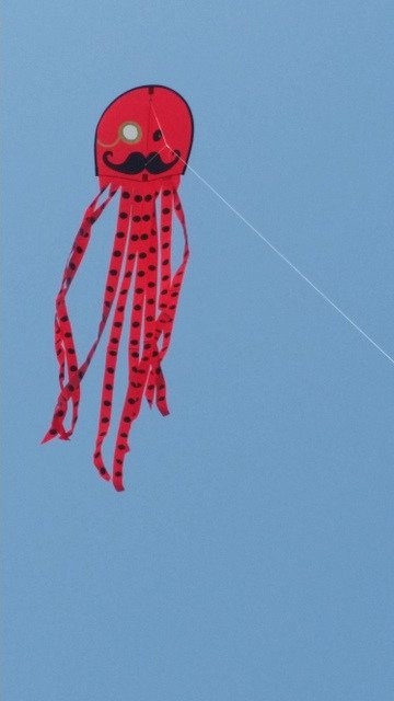 Fly It Port A-阿兰瑟斯港必去景点