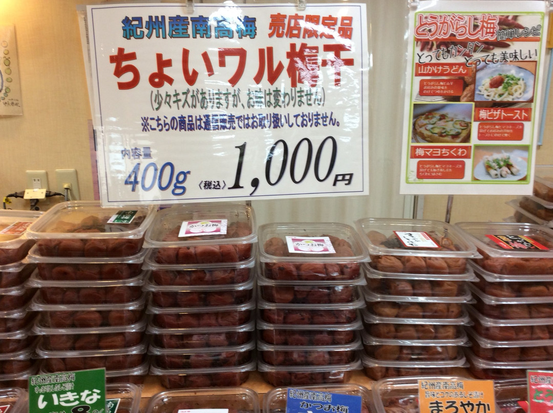 Kishu Umeboshi-kan-南部町必去景点