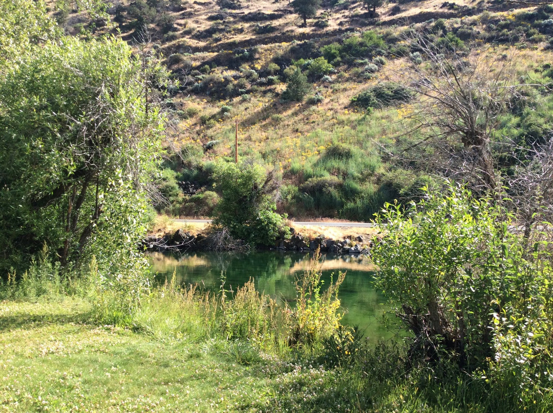 Hagelstein Park-克拉马斯福尔斯必去景点