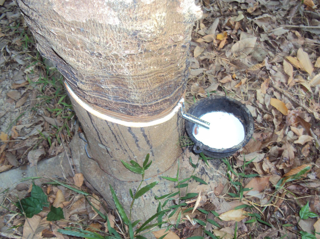 Ko Chik Nok-廉愚必去景点