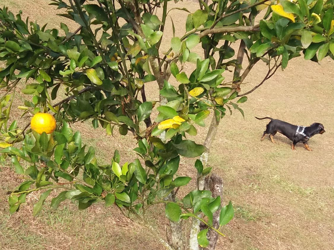 Pousada Caturama主图