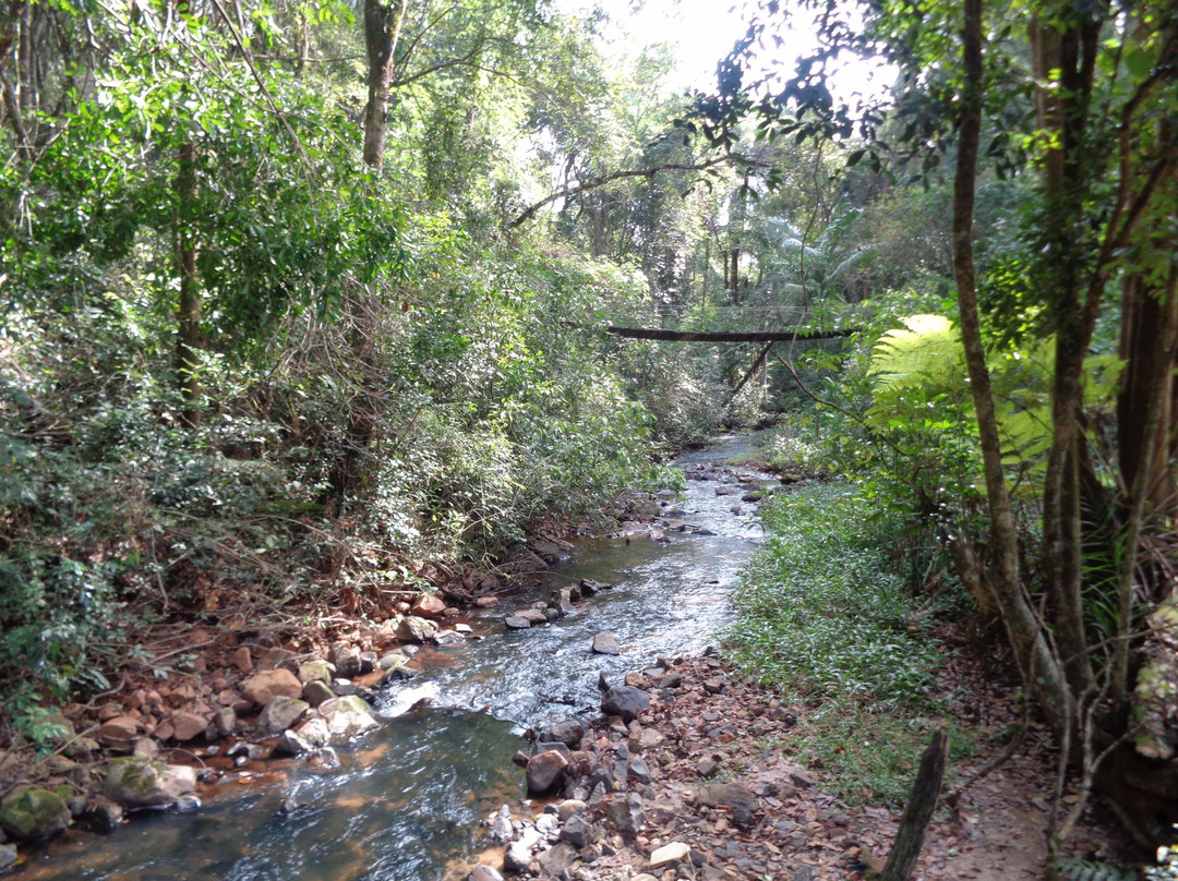 Dorigon Falls-Sao Pedro必去景点