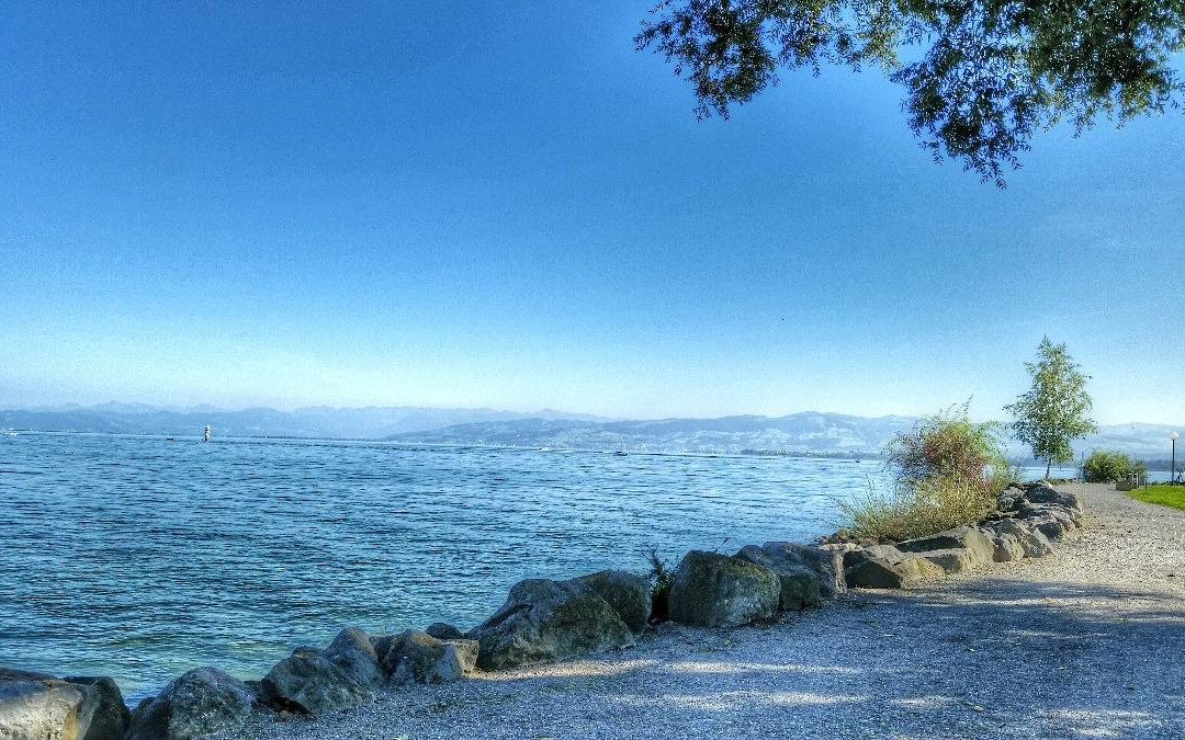 null-Romanshorn
