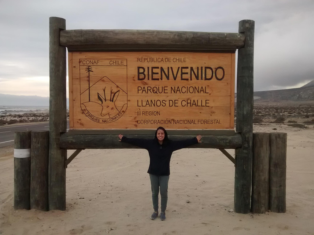 Parque Nacional Llanos de Challe景点图片