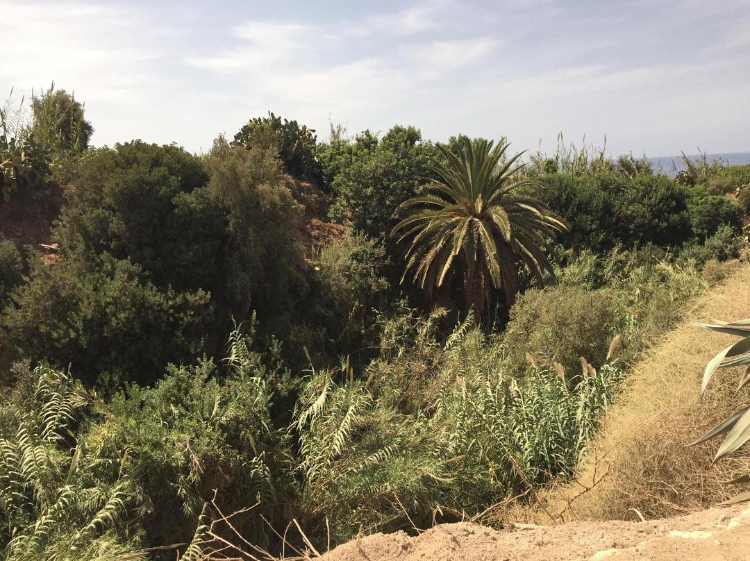 Taxi Limo-奥兰必去景点