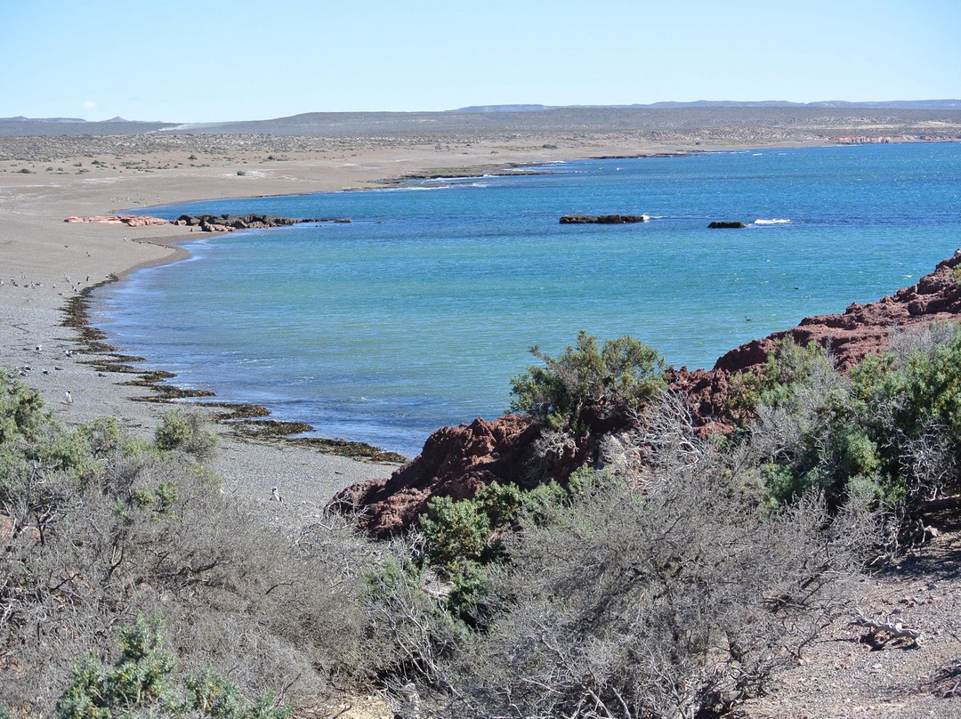 Dos Pozos旅游攻略图片