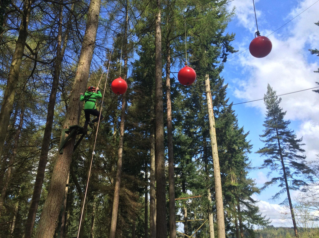 Forest of Dean Adventure Activities-Coleford必去景点