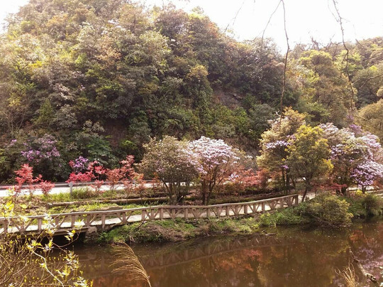 广西大明山-武鸣县必去景点