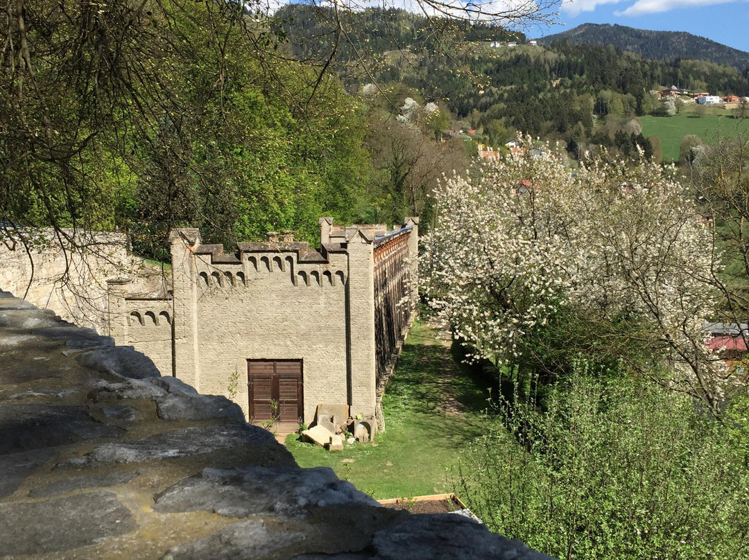 Schloss Wolfsberg景点图片