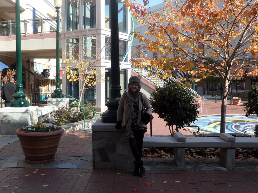 Downtown Silver Spring-银泉必去景点