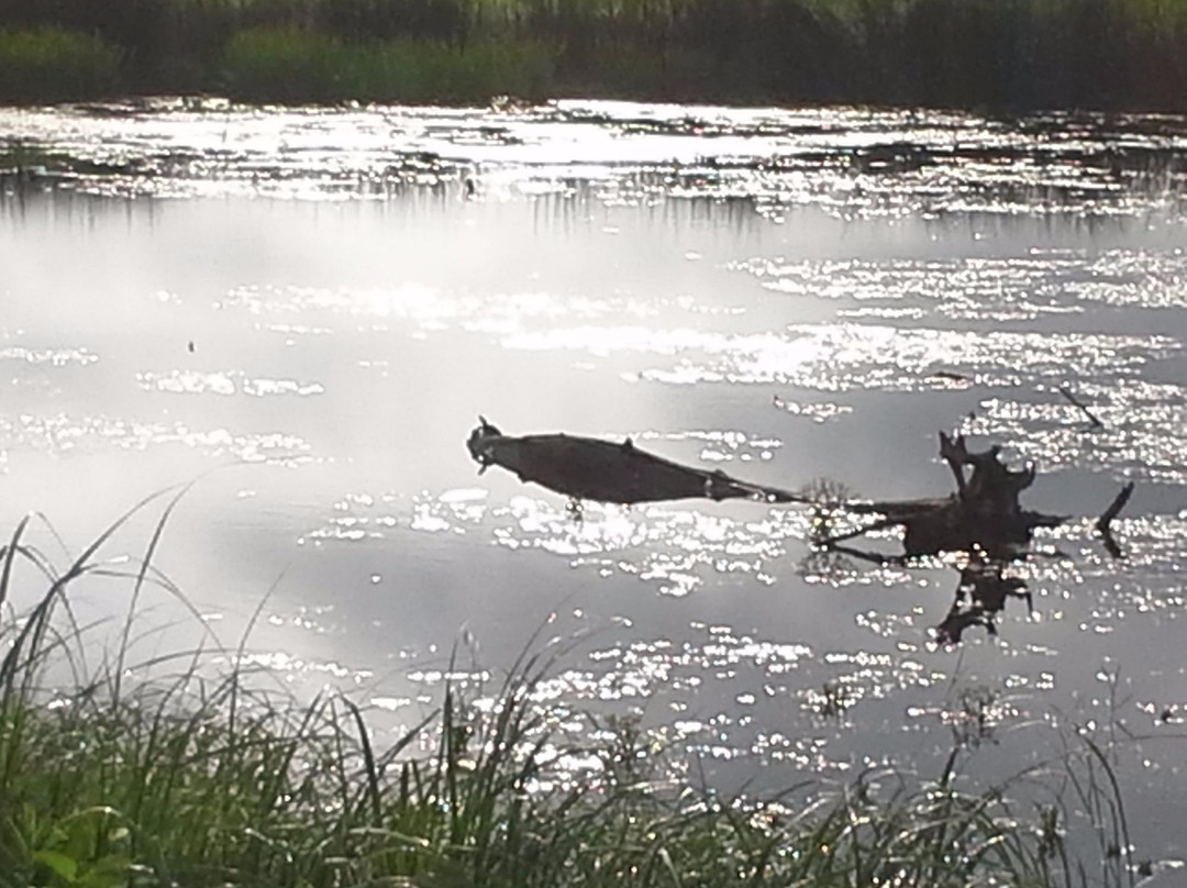 Deer Grove West-巴拉汀必去景点