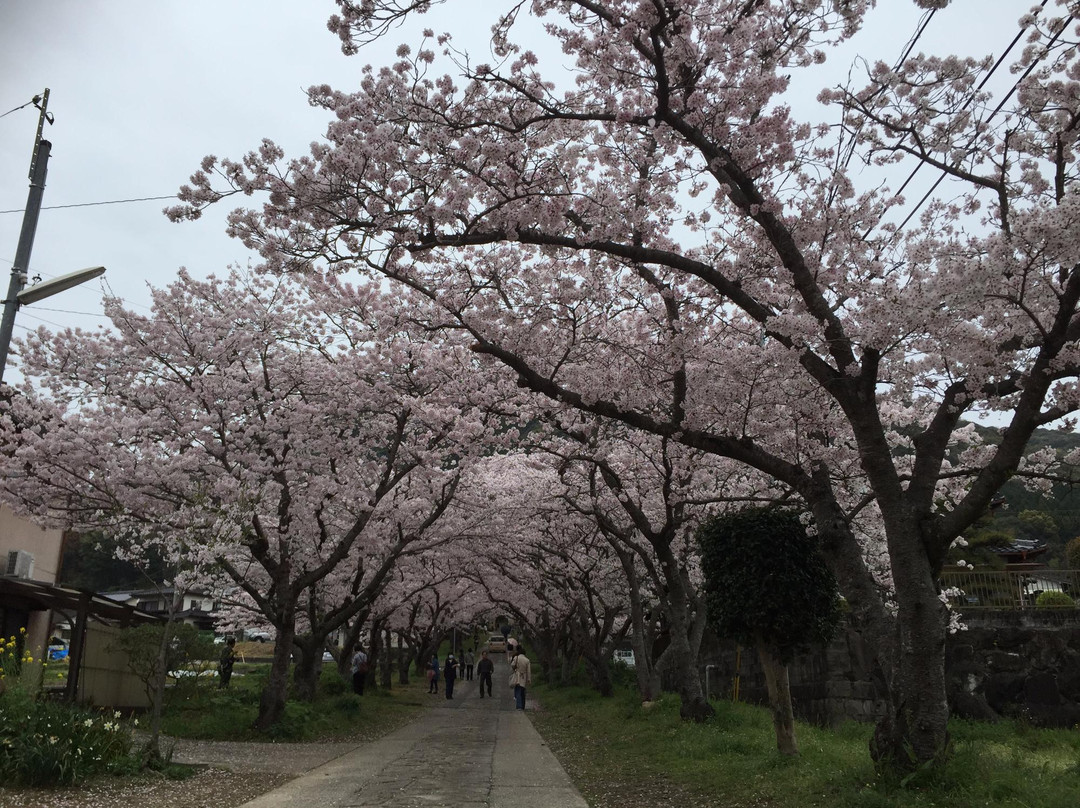 Enjoji Temple-武雄市必去景点