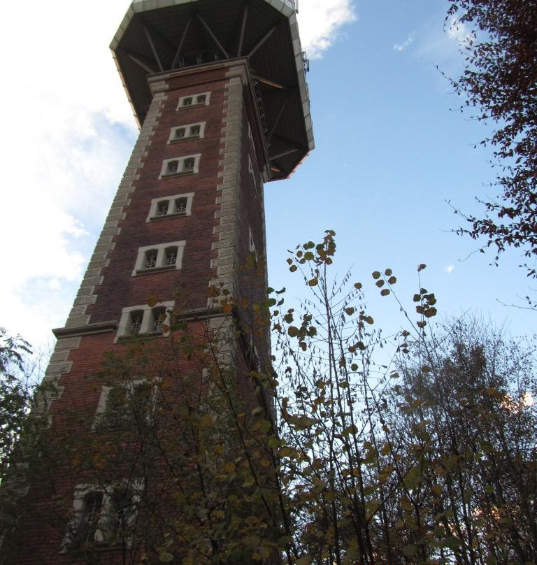 Leech Forest (Leechwald)-格拉茨城必去景点