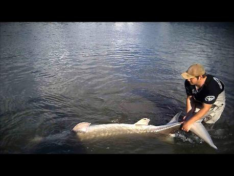 Mission Bridge Guiding Adventures-米逊必去景点
