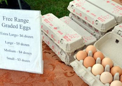 Orillia Fairgrounds Farmers' Market景点图片