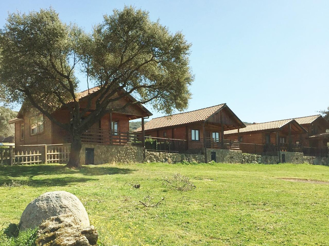 Navamorcuende旅游攻略图片