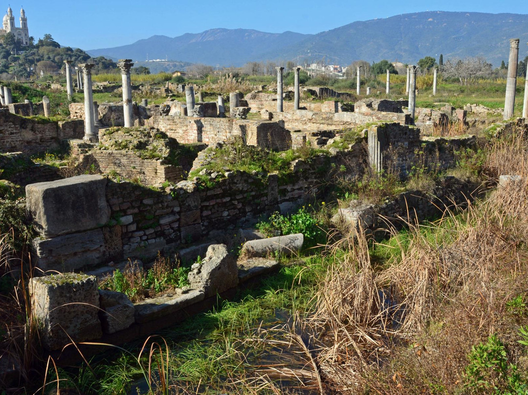 Musee des Ruines d' Hippone景点图片