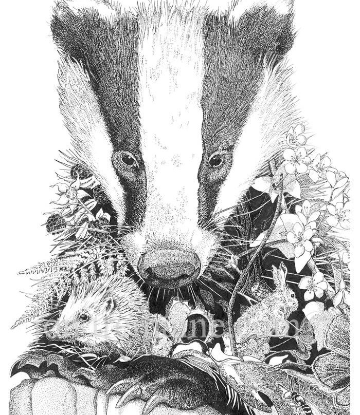 Jon Tremaine, Wildlife Artist Studio-Lelant必去景点