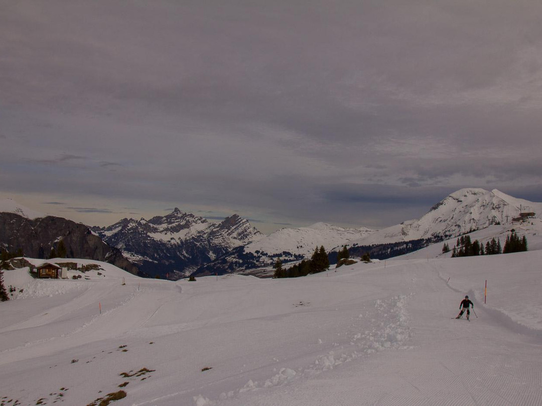 Skigebiet Betelberg-Lenk im Simmental必去景点