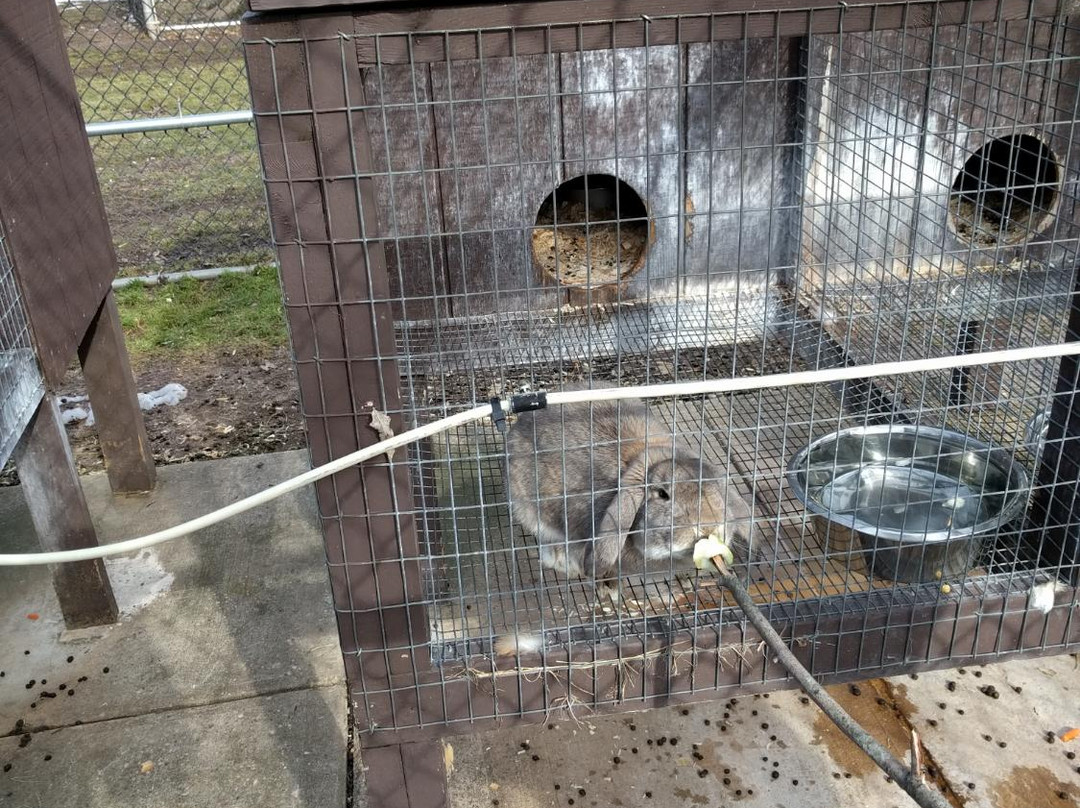 Johnson Park-皮斯卡特维必去景点