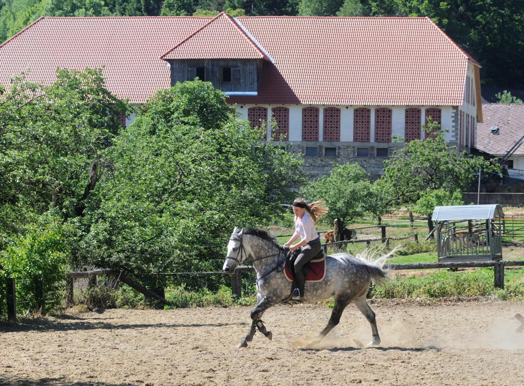 Familienpension Seebichlhof主图