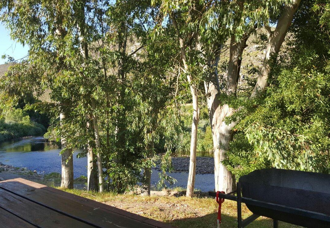 Biesievlak Cottages & Camping