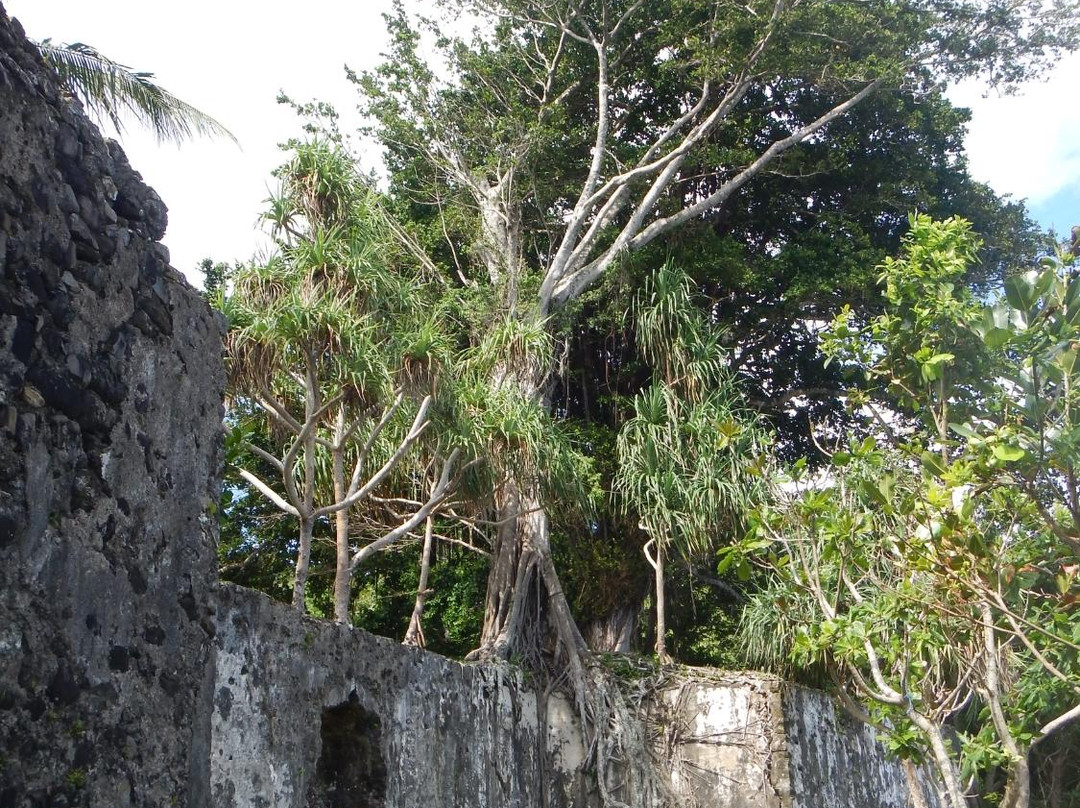 Fort Concordia景点图片