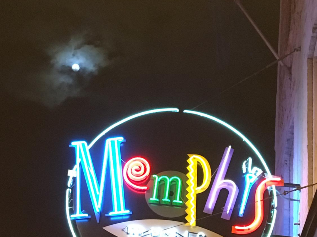 Carriage Tours of Memphis-孟菲斯必去景点