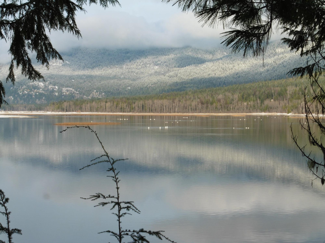 Slocan Valley Rail Trail景点图片