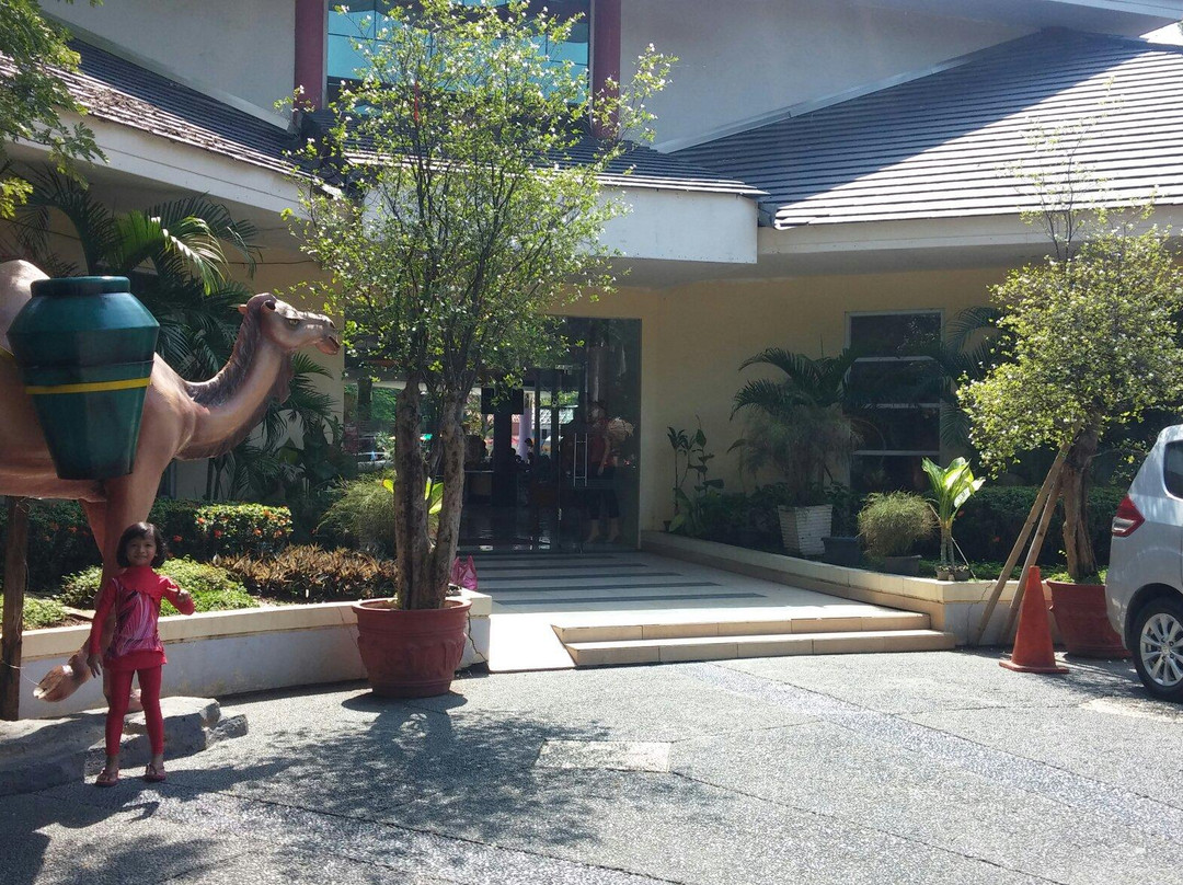 Venetian Water Carnaval-勿加泗必去景点