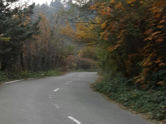 River Songs Tours and Travels-斯利那加必去景点