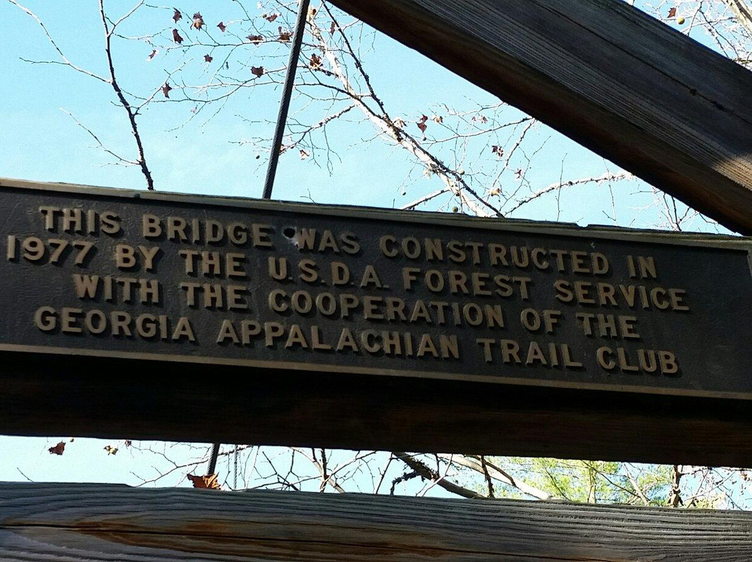Toccoa River Swinging Bridge景点图片