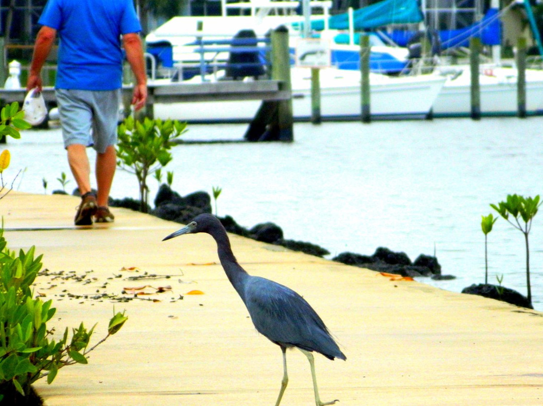Shepard Park-斯图尔特必去景点