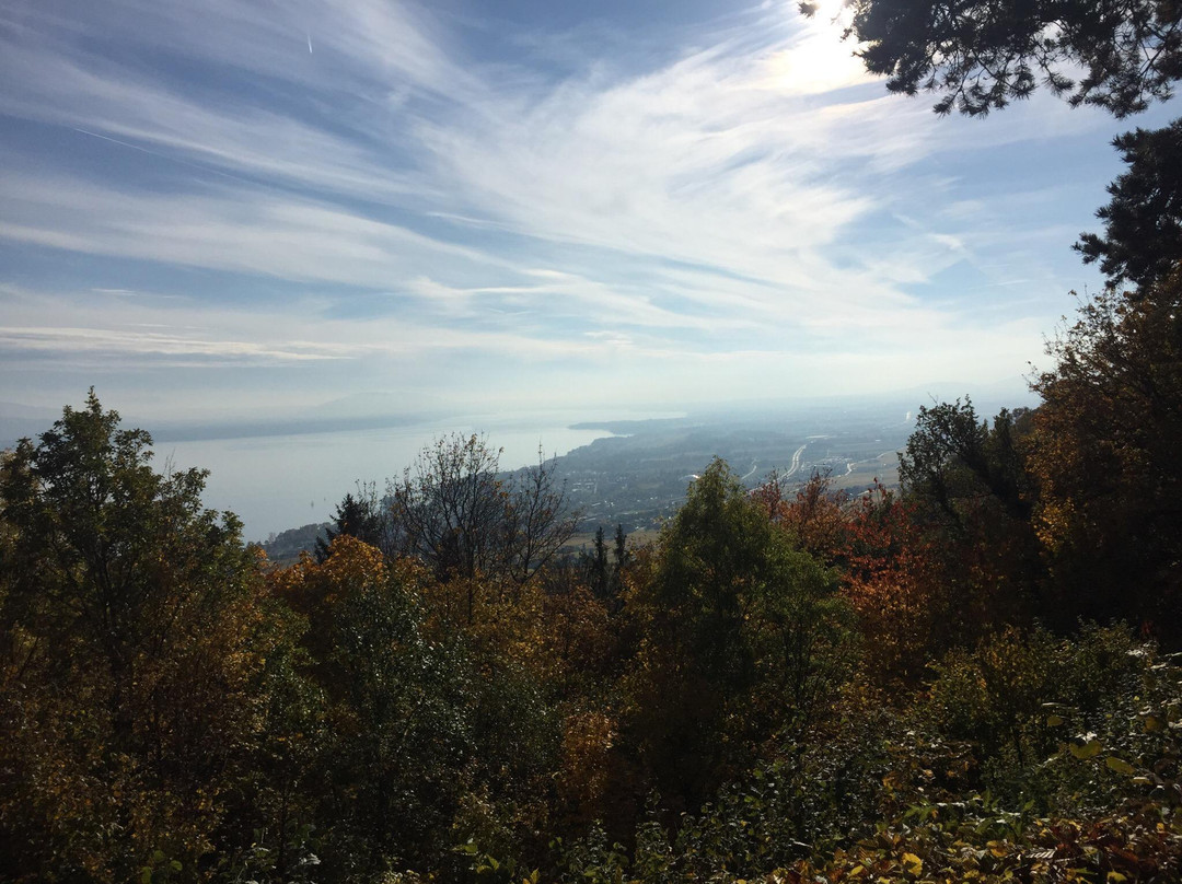 Signal de Bougy Parc Pre Vert-Bougy-Villars必去景点