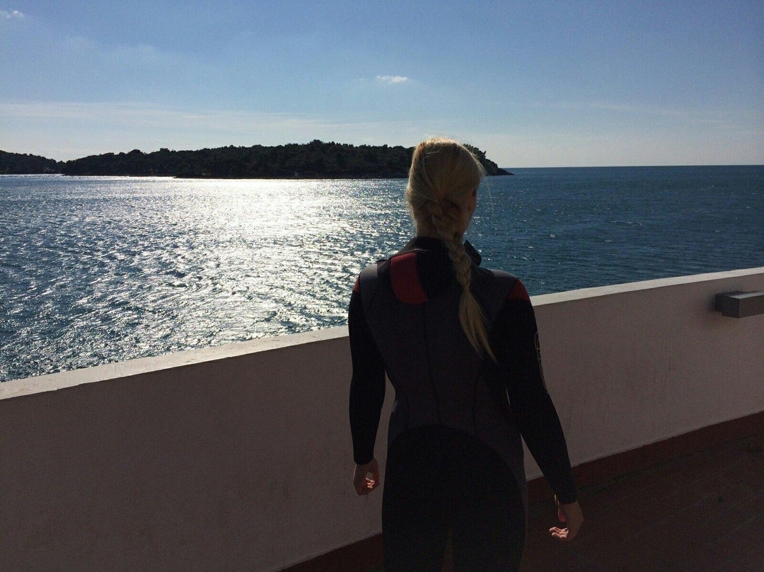 Orca Diving Center-普拉必去景点