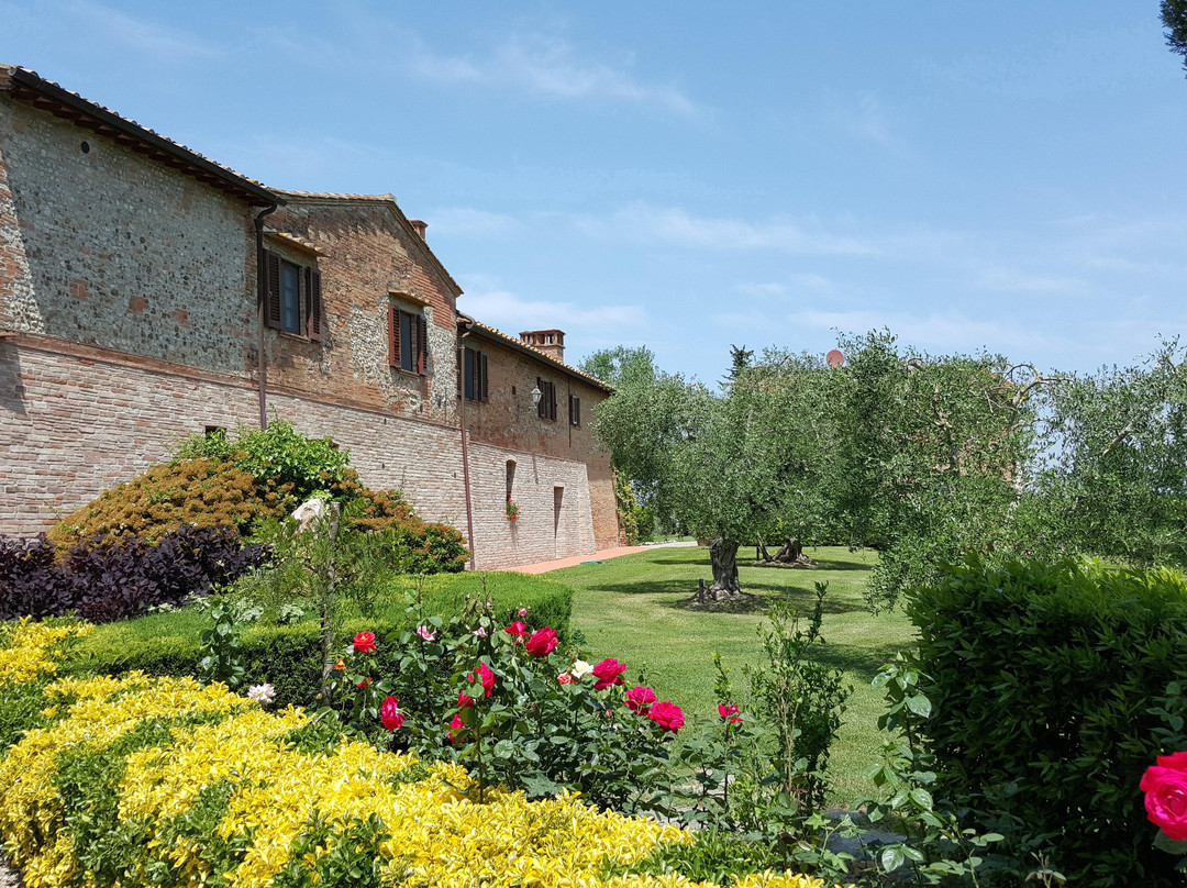 Agriturismo Monteolivo