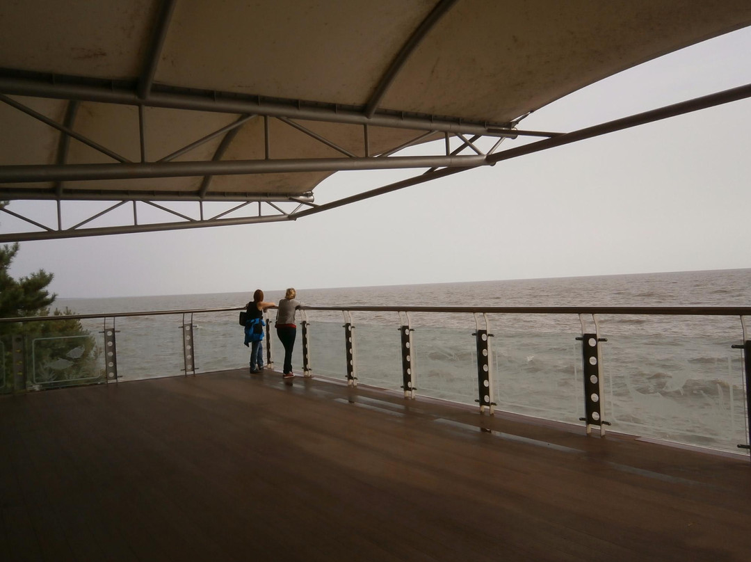 兴凯湖-密山市必去景点