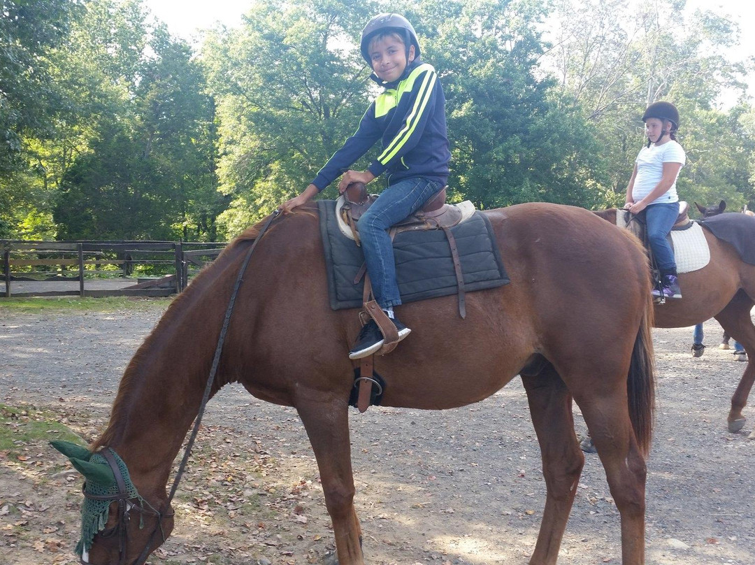 My Saddle Brook Farm-Walden必去景点