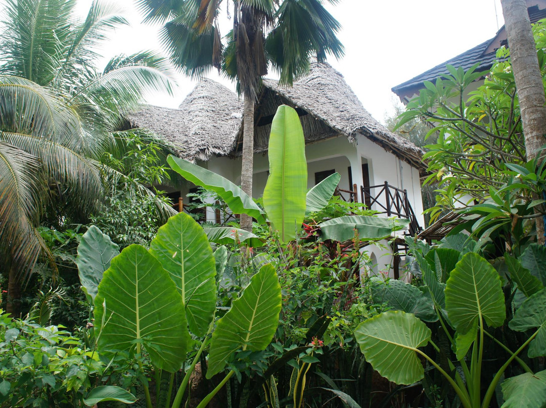 Nungwi Beach-孥归必去景点